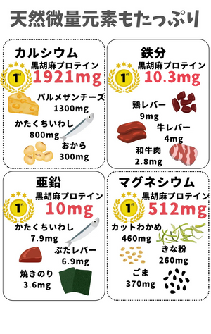 GOMA BLACK 黒胡麻プロテイン ＜100g ＞