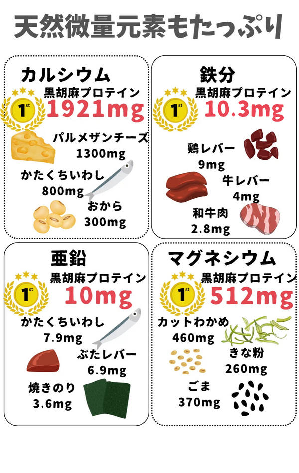 GOMA BLACK 黒胡麻プロテイン ＜100g ＞