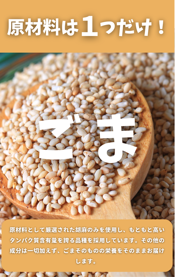 GOMA PROTEIN<br>胡麻プロテイン ＜100g ＞